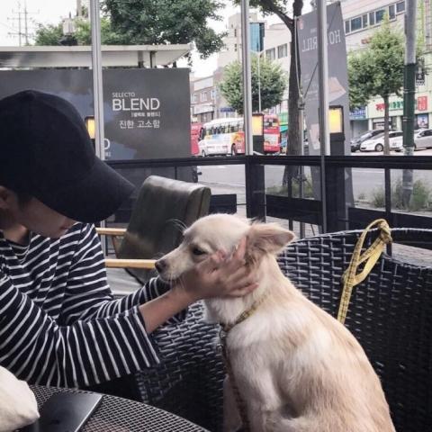 简单的吃鸡网名，简单的吃鸡网名女（过目不忘的吃鸡酷炫名字很讨喜-可爱点）