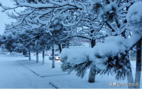 下雪天打雷是什么征兆 下雪打雷老人古人说法是什么，下雪天打雷是什么征兆（十个牛栏九个空”啥意思）