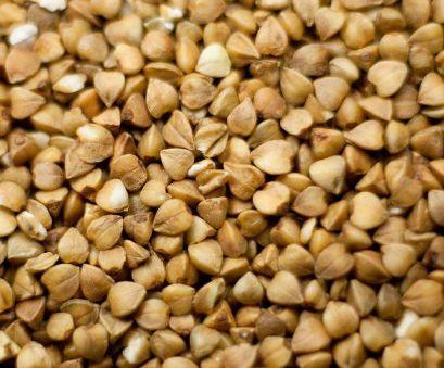 怎么查询鸽子的成绩，怎么查找鸽子的成绩（学习强豪养鸽秘诀）