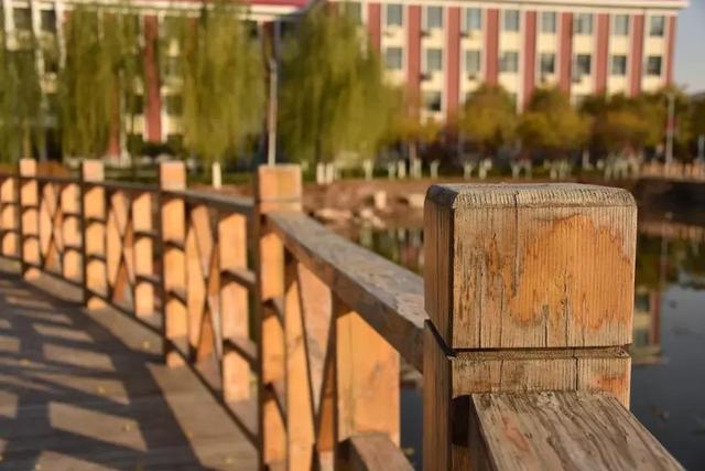 天津农学院是几本，天津农业学院是几本的（天津市普通高等院校）