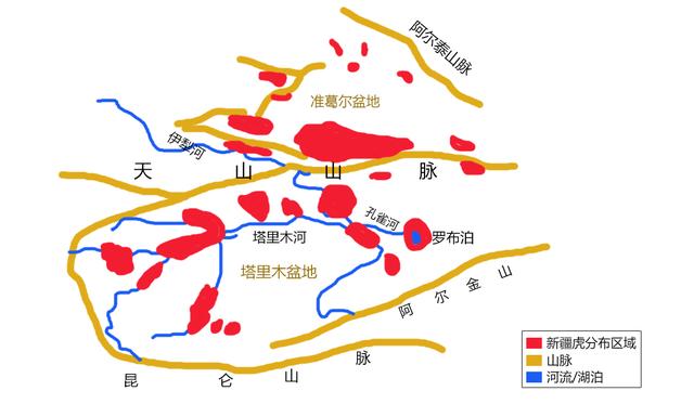 东北虎有何特点，东北虎的缺点（浅谈老虎在中国的古今生存状态）