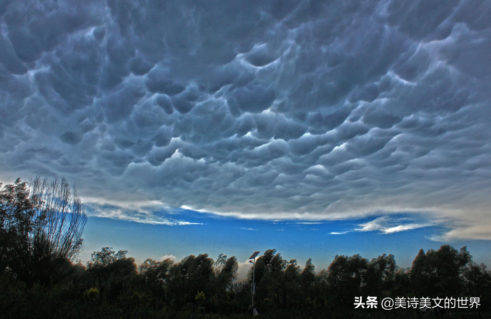 风雨欲来花满楼(风雨欲来花满楼的解析)插图(5)