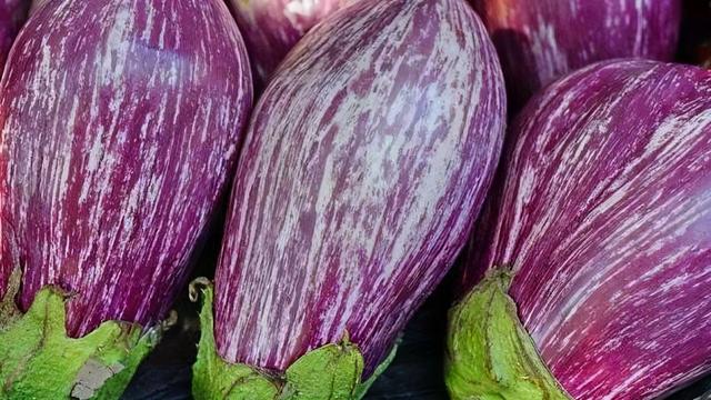 鱼鳞茄子做法，茄子鱼的做法（茄子的五种烹饪方法）