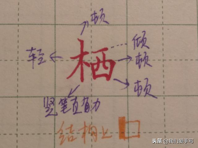 木子旁的字有哪些字旁的字，带木字旁的汉字大全（右侧部首要这样写）