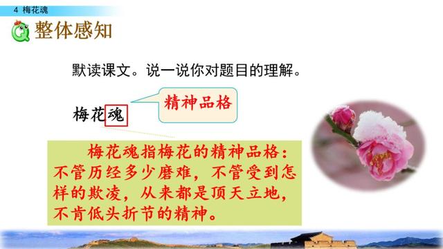 梅花魂的意思，部编版五年级下册第4课《梅花魂》图文讲解+知识点梳理