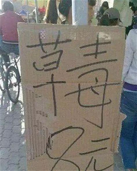 扑街是什么意思，电影扑街是什么意思（hāo羊毛、kuǎi一勺…这些常说的字你会写几个）