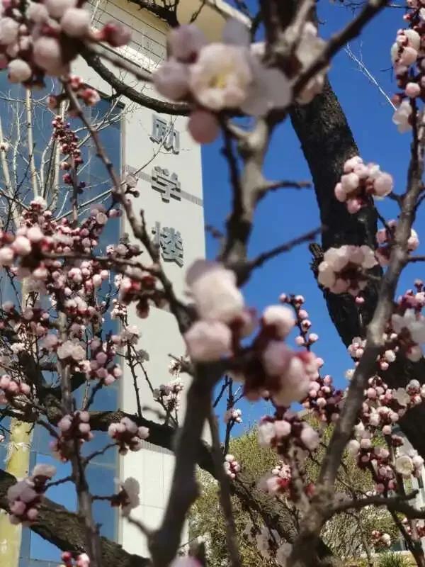 大连财经学院学费，2021年大连财经学院录取通知书查询入口_什么时候收到及发放时间（<八>大连财经学院）