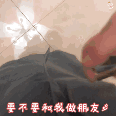 表情包系列，表情包系列有哪些（表情包丨口袋里什么都有系列图片）