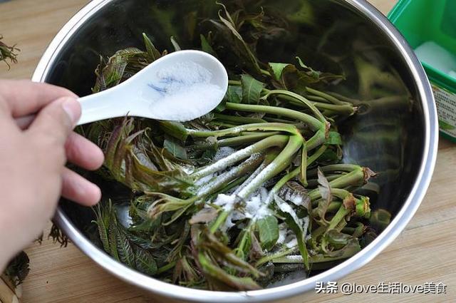 夏天的香椿嫩芽可以吃吗，夏天香椿树上的嫩芽能吃吗（我们家都这样将香椿芽保鲜）