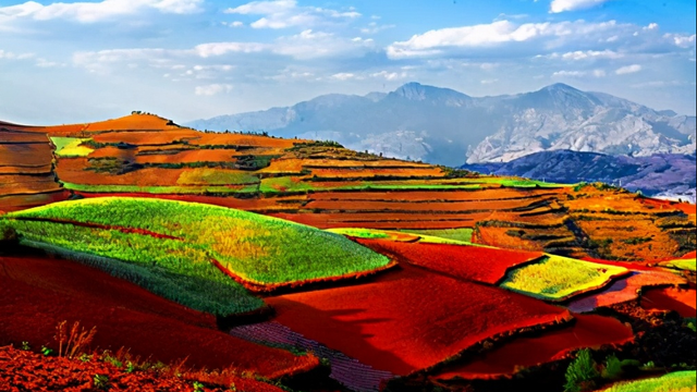 择一城终老你会选择哪里，选择一城终老什么意思（她说：若要择一城终老）