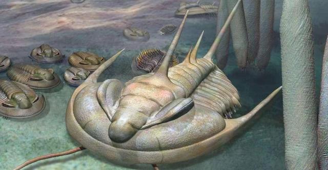 三叶虫因为什么而得名，三叶虫的由来（演化20000个种）