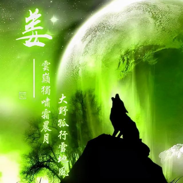 狼图片头像 凶猛 霸气 冷酷，100张姓氏霸气狼头像（100张“血性狼”姓氏头像、送给在困境中坚持梦想的你）