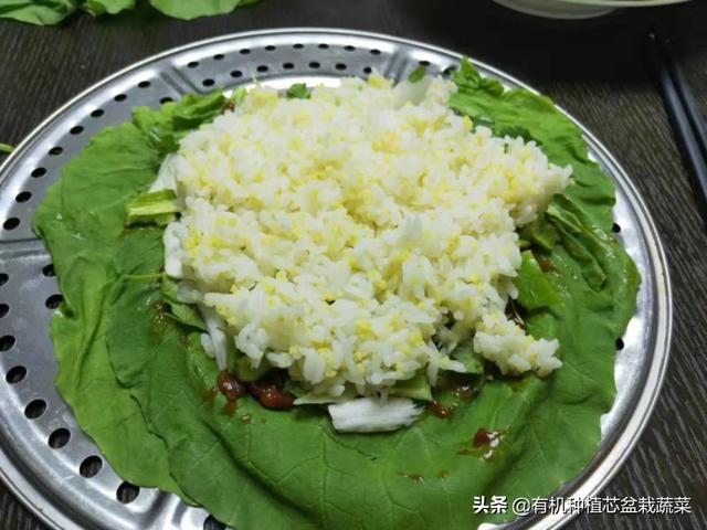 東北飯包的菜葉叫什麼,飯包白菜葉屬哪個品種(東北的菜飯包的魅力)