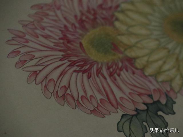 葩的读音（葩怎么读，葩是什么意思（金佛座、搓粉妆、绶带紫、鹤头丹）