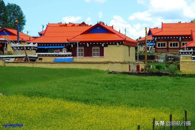 新都桥草原风景，新都桥—塔公草原—雅砻江河谷——迷人的夏季风光