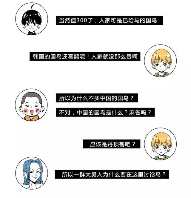 中国的国鸟是什么鸟,中国的国鸟是什么动物(绝大多数的人都不知道) 中国的国鸟是什么鸟,中国的国鸟是什么动物(绝大多数的人都不知道)