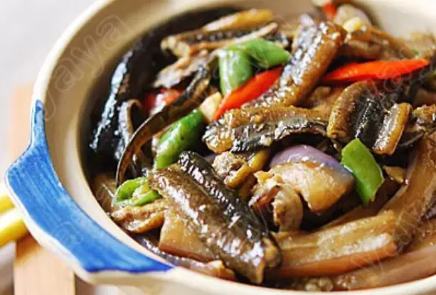 黄鳝的做法大全，黄鱼做法视频（黄鳝做法大全家常做法）