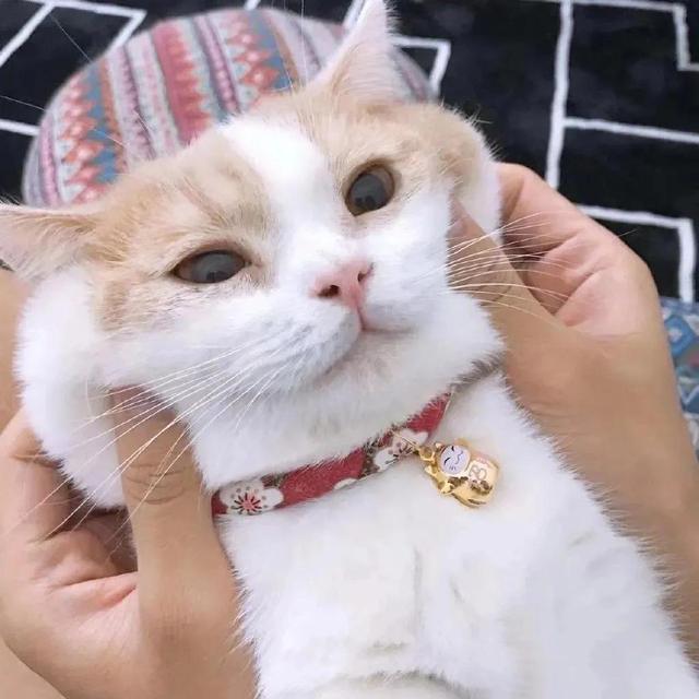 高清男头/情头，微信头像，高清男头/情头（一字一句皆是良人）