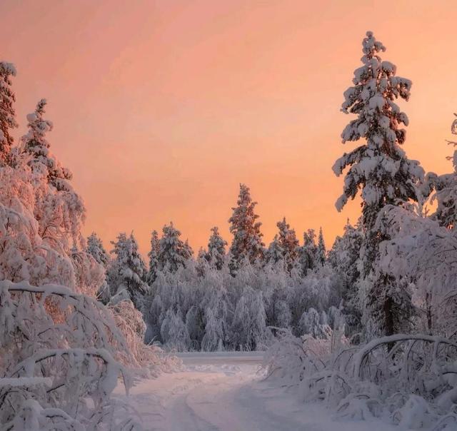 关于冬天的句子，关于冬天的句子唯美短句（文案，有关冬天的温柔可爱句子）