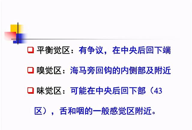 大脑杏仁体解剖图，高清大脑解剖图谱