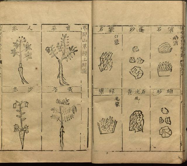 本草纲目全书带图，李时珍本草纲目全书（李时珍著《本草纲目》附图卷）