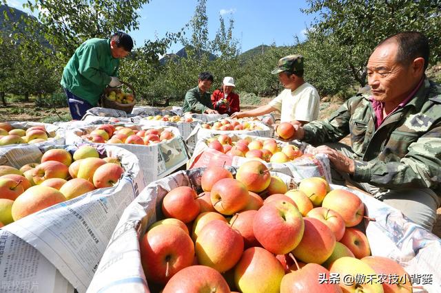 腐殖酸主要原料是什么，腐植酸的十大作用（你可能对腐植酸的认识与使用有误区）
