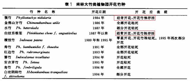 竹子开花吗，竹子一生只开一次花吗（竹子开花难道真是“大灾变”的前兆）