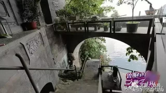 杨丽萍婚姻，杨丽萍结婚对象（为何在关键时刻打掉孩子）