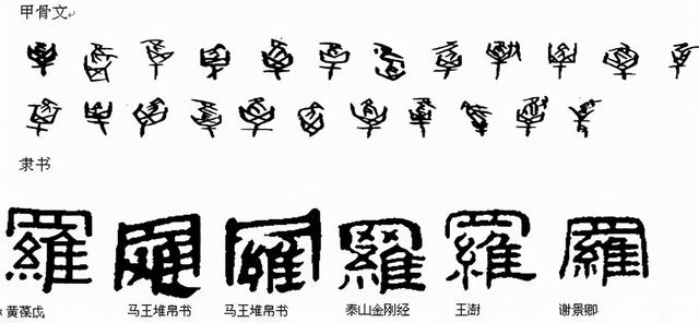 演變羅字字義no01有句成語叫天羅地網,羅在甲骨文中字形象一張捕鳥