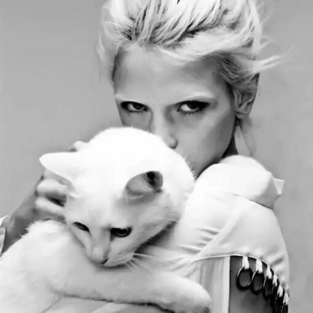 小恶魔，微信头像，小恶魔（也是爱你的可怜鬼\n头像）