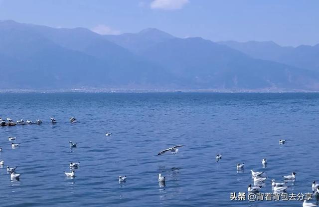 云南旅游景点大全，云南旅游景点排名（云南省10家精华景点）