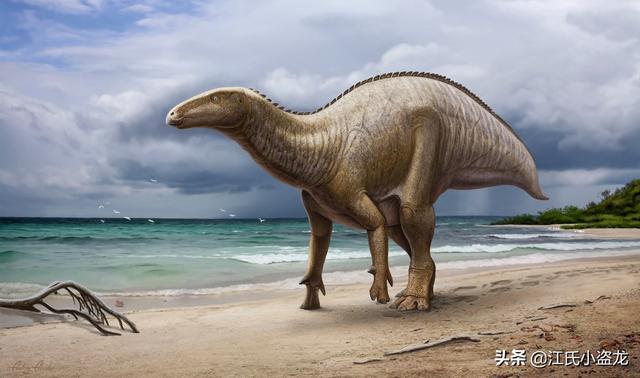 re网名的含义，Re微信昵称（2020古生物学家到底命名了多少种恐龙）