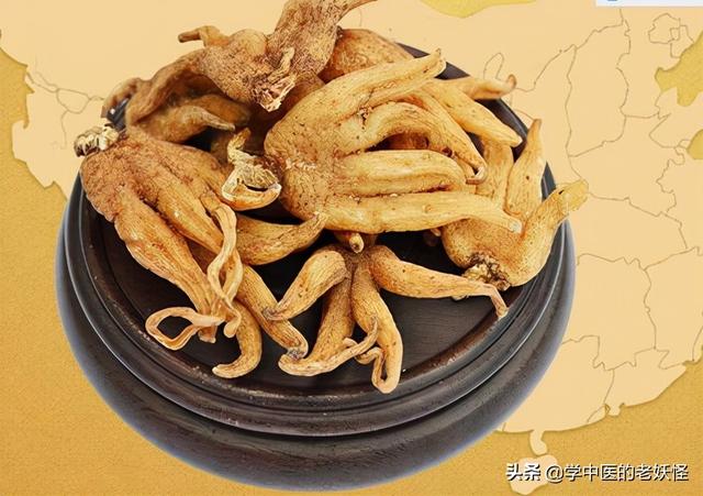 佛手的功效与作用，佛手的功效与作用是什么（每日学习一味中药——佛手）