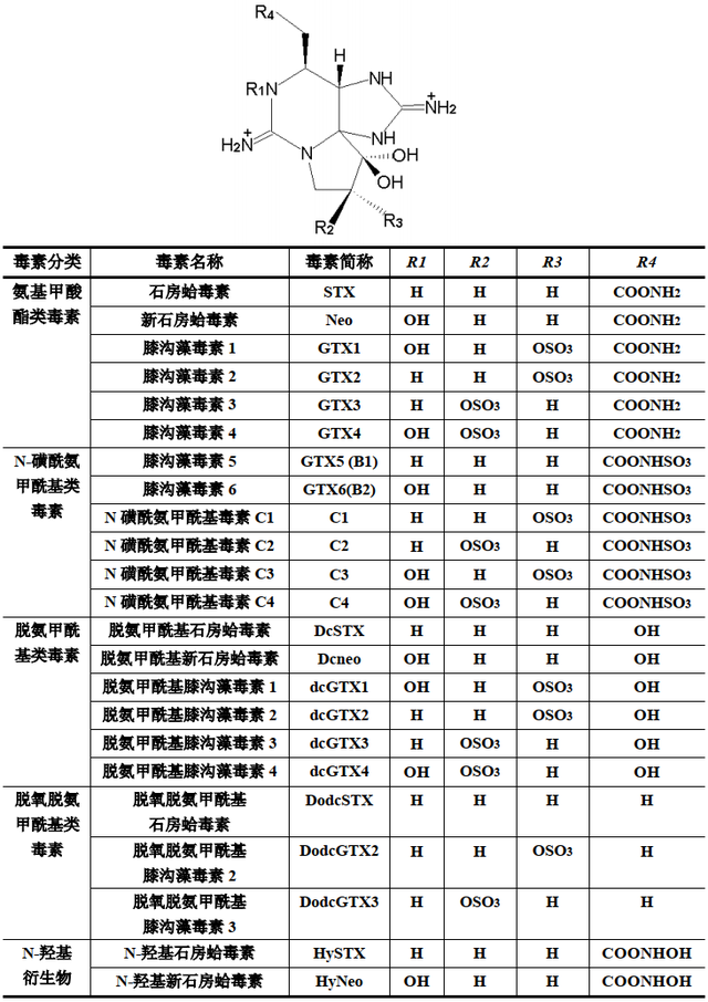 世界上最毒的海螺是什么，有剧毒的海螺（为何突然出现在吃了几十年的海鲜里）