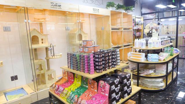 简洁宠物店名字高端，简洁宠物店名字高端可爱（发现一家有爱又上档次的宠物店）