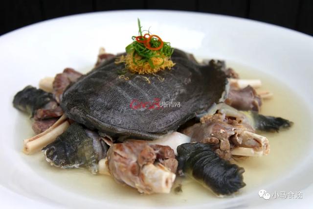 蒸甲鱼的做法，怎样做清蒸甲鱼（11款甲鱼做法）