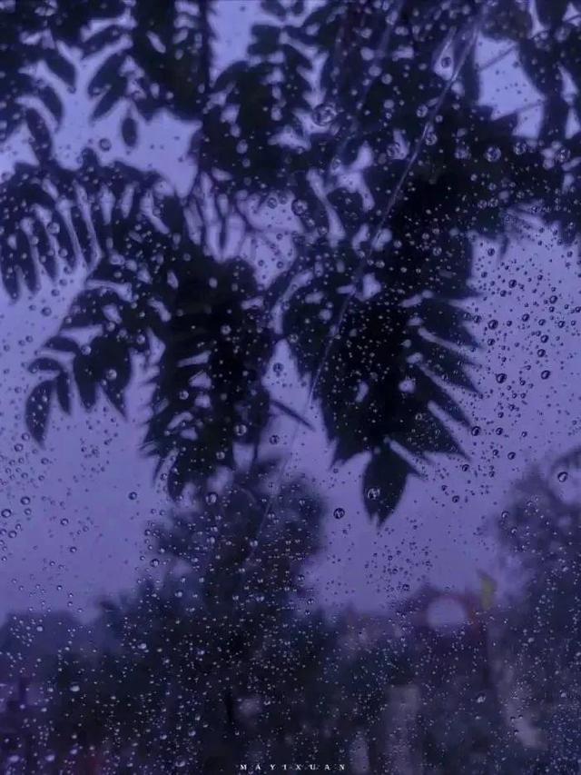 紫色系超好看背景，好看的背景紫色（紫色系朋友圈背景图～）