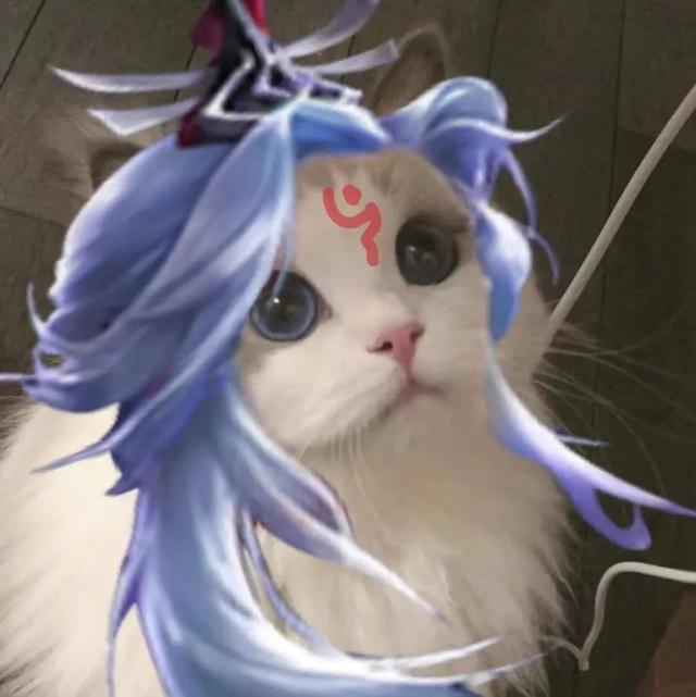 超火五黑头像,好看的五黑头像(王者荣耀猫咪头像三