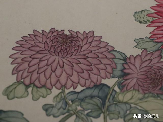 葩的读音（葩怎么读，葩是什么意思（金佛座、搓粉妆、绶带紫、鹤头丹）