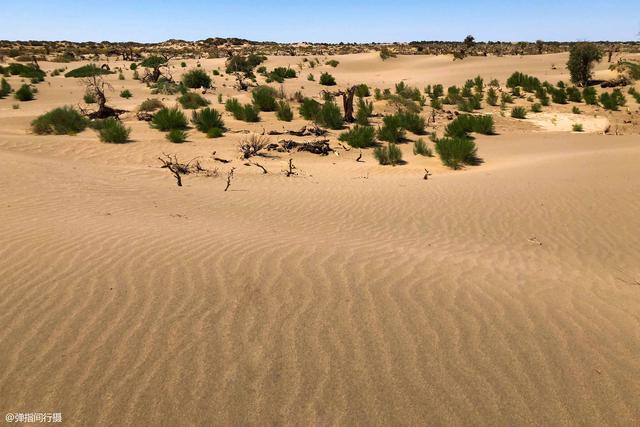 阿拉善属于哪个市，阿拉善在哪个省份哪个市（是自驾越野的荒凉秘境）