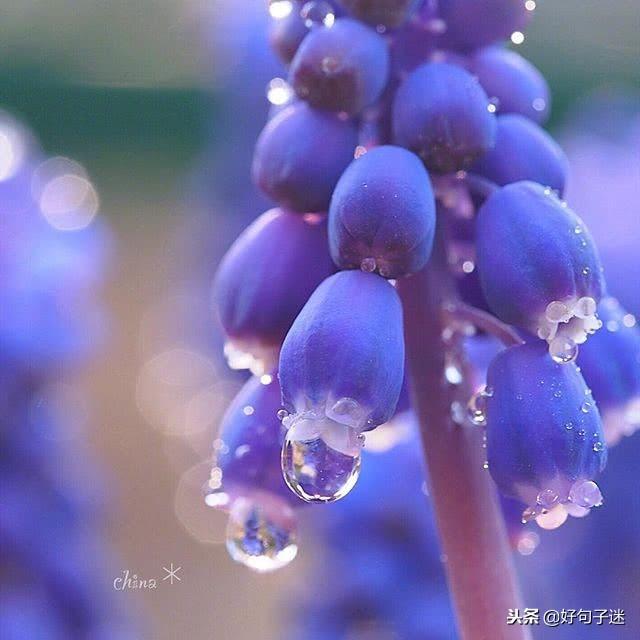 发朋友圈招聘短语，发朋友圈招聘短语有哪些（温暖别人的朋友圈说说心情短语）