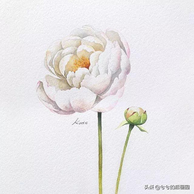 简单的花怎么画，玫瑰花画法（3个简单步骤教你画出一朵小花花）