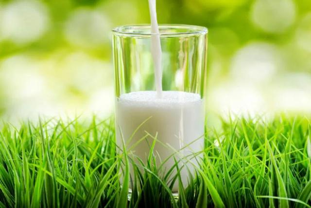 伊利经典有机奶，伊利金典有机奶（从“四面受敌”到“红极一时”）