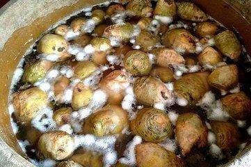 野辣菜怎么腌酸菜，野辣菜怎么腌酸菜好吃（农民们怎样解决一季吃菜问题）
