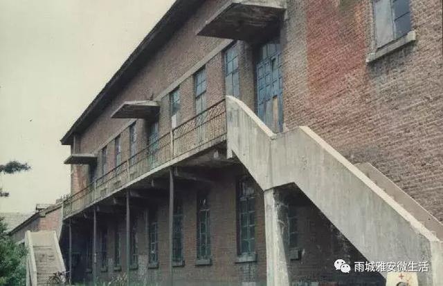 冷色系女头/快乐是个奢侈品，微信头像，冷色系女头/快乐是个奢侈品（雅安：一城梧桐伴流年）
