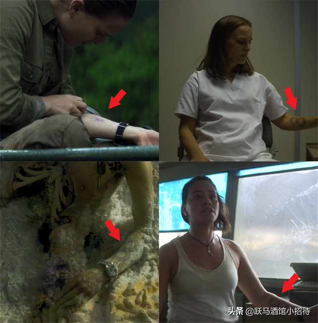 湮灭电影解析，湮灭电影剧情深度解析（烧脑神作还是故作深沉的烂片）