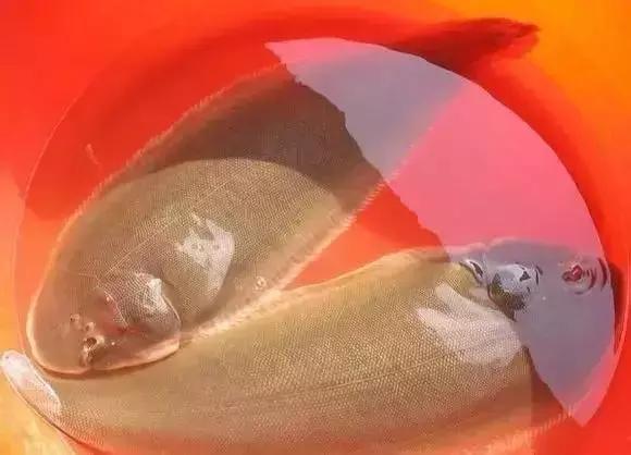 请问清炸小扒皮鱼的做法，炸小剥皮鱼的做法大全（今后再也不怕不认识海鲜了）