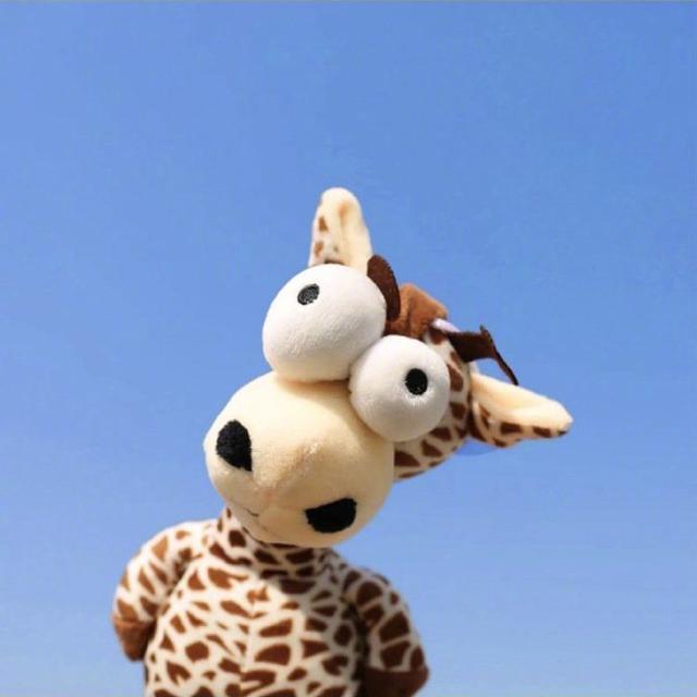 玩偶情侣头像微信，玩偶情侣头像（蓝色天空动物玩偶情侣头像）