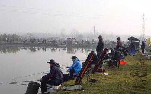阿魏钓鱼怎么用，野钓中药阿魏最佳配方（那么该怎么使用呢）
