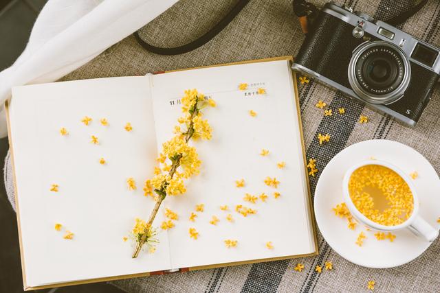 如何快速写日记，如何快速写日记450字（写日志是一件很简单的事情）